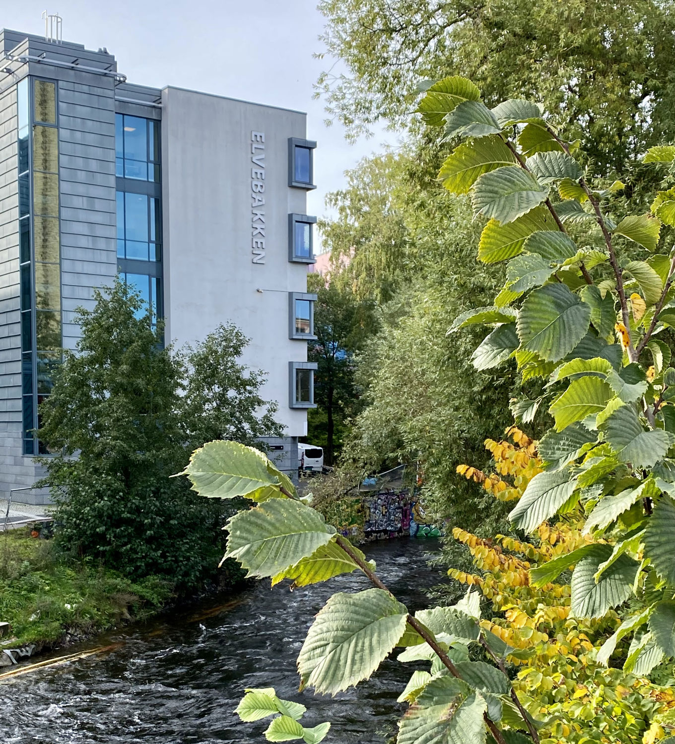 Foto: Ekst høst 2023 Ekst høst 2023