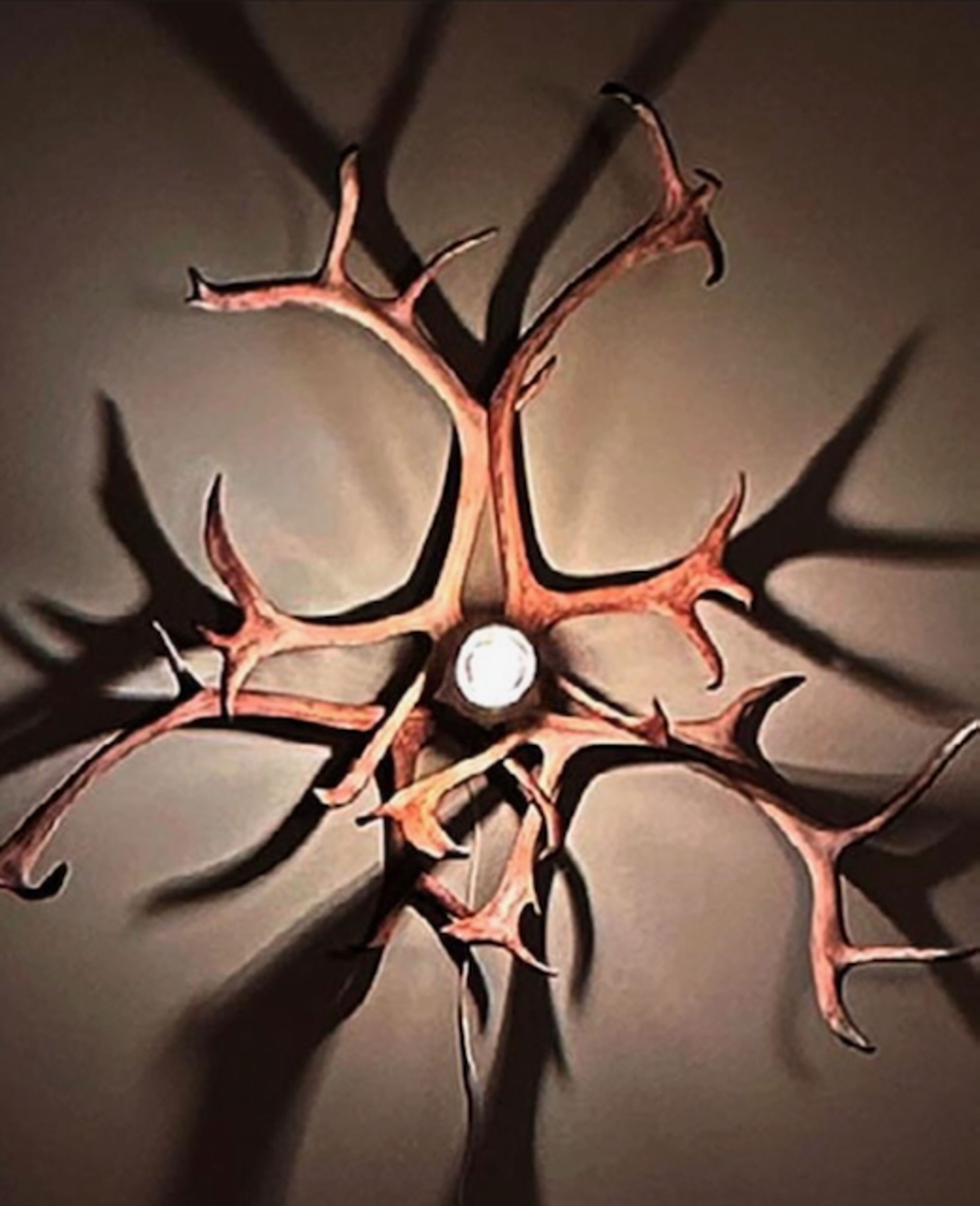 Et nærbilde av en edderkopp Et nærbilde av en edderkopp