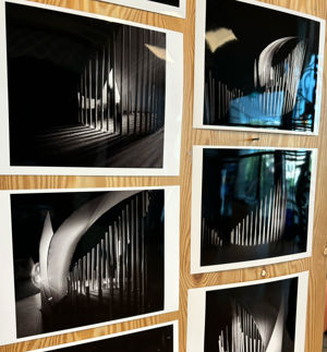 en collage av bilder