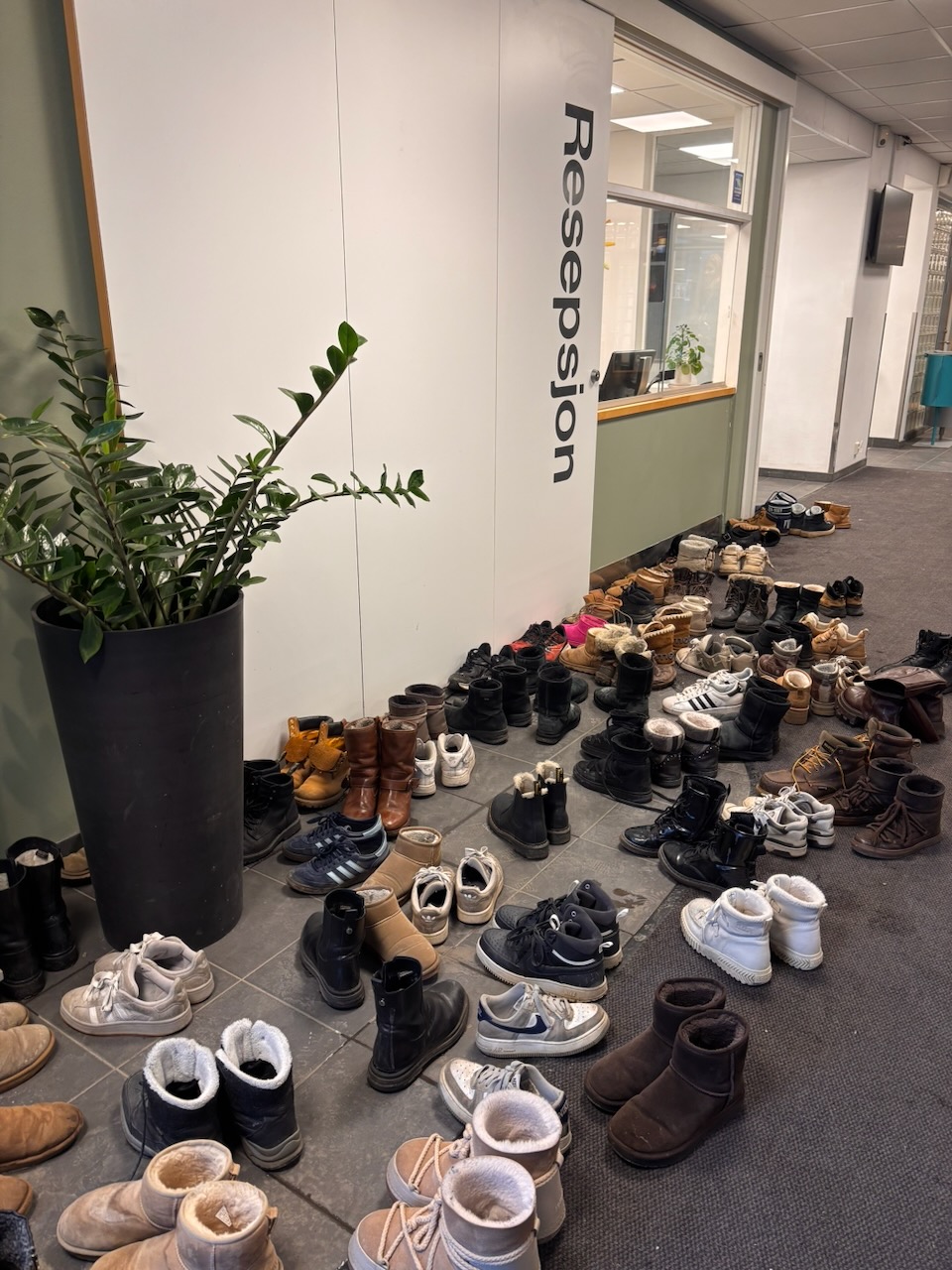 en plante i en potte