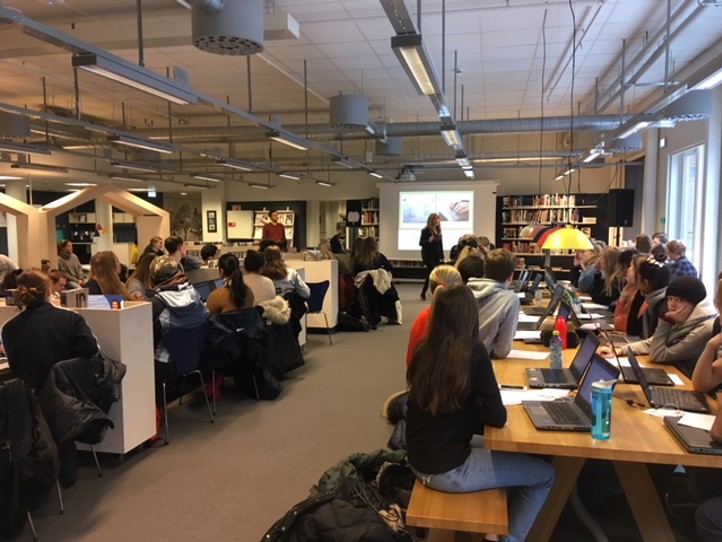Bjerke vgs snitt 2017