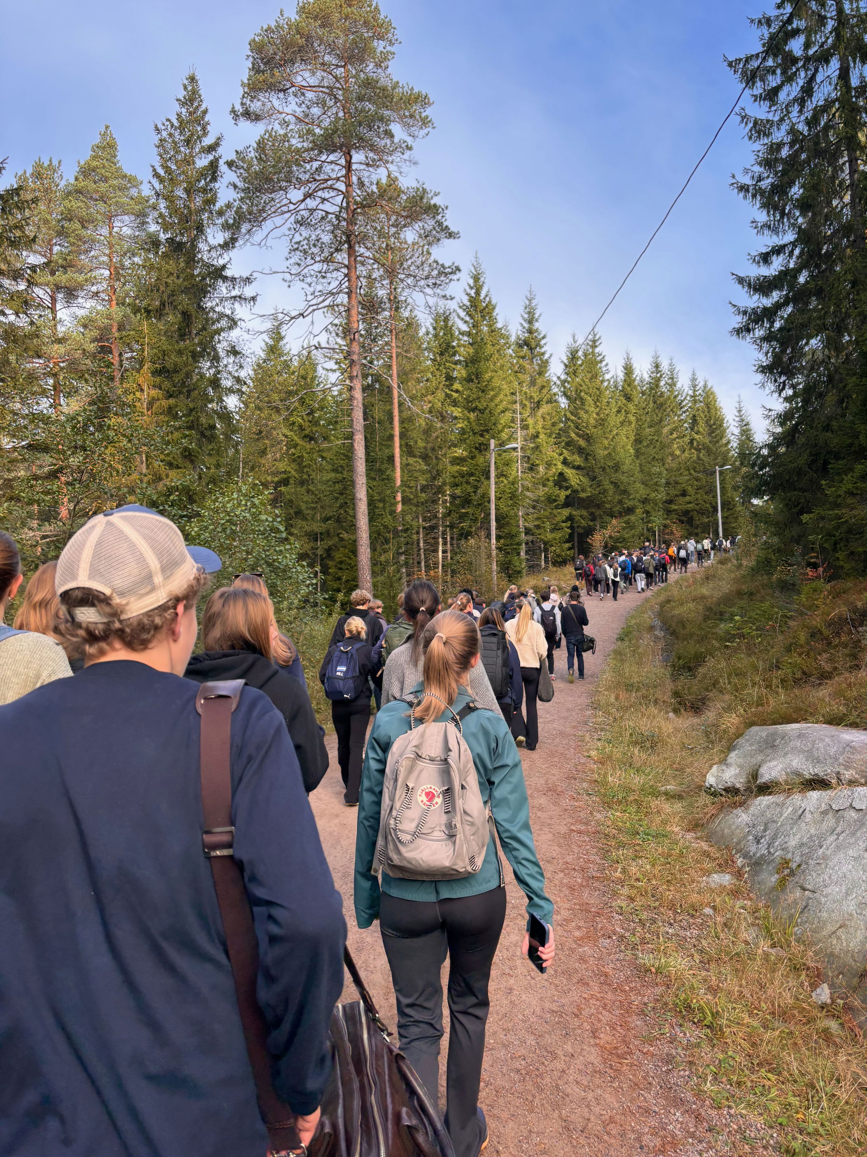 en gruppe mennesker som går på en sti med trær på hver side