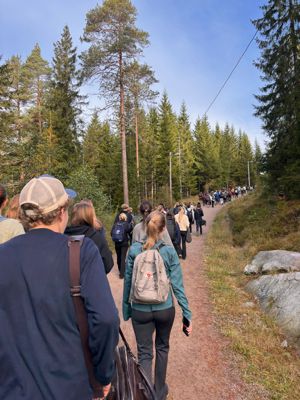 en gruppe mennesker som går på en sti med trær på hver side