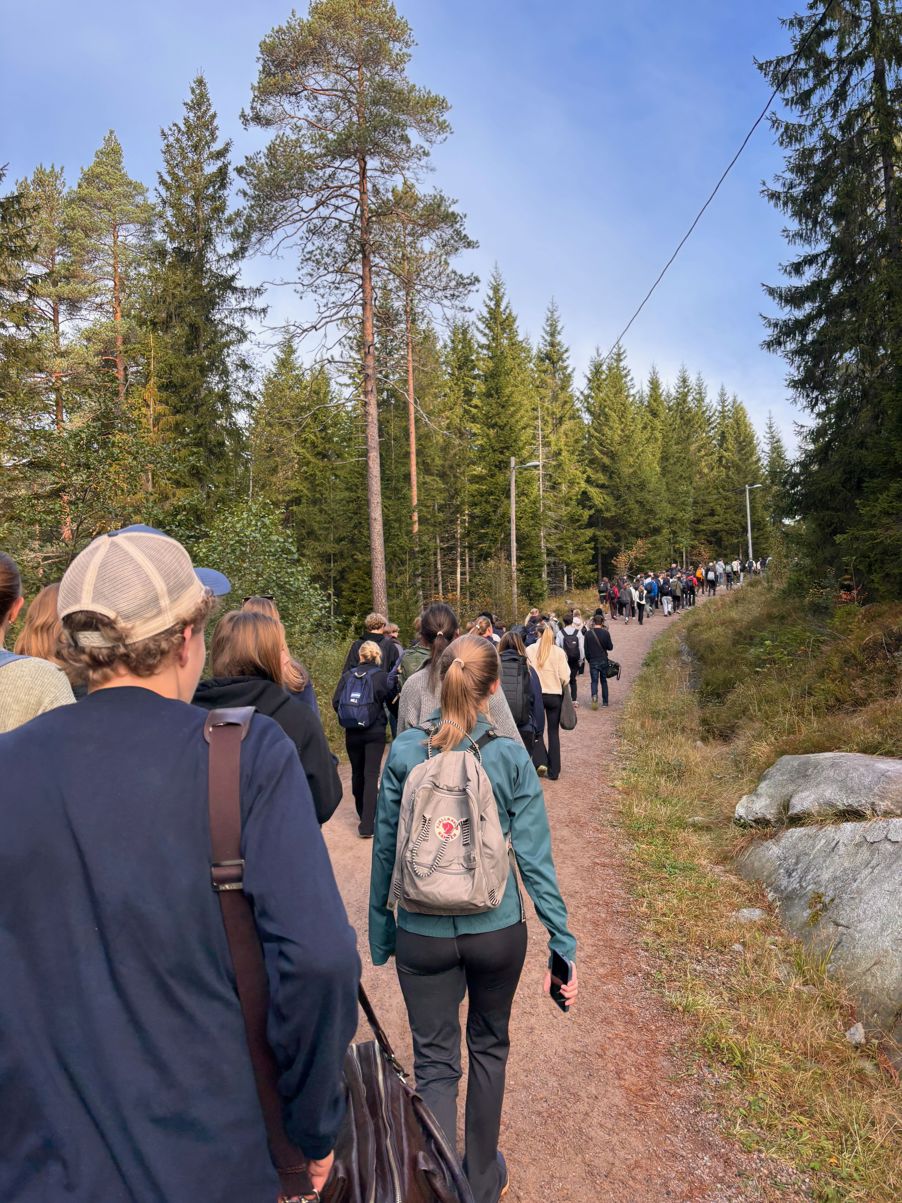 en gruppe mennesker som går på en sti med trær på hver side