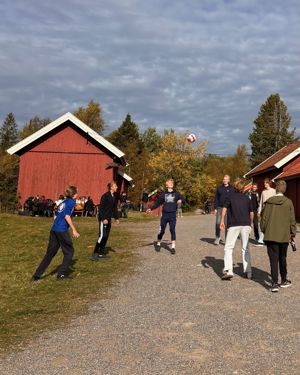 En gruppe mennesker som spiller rulleskøyter i en park